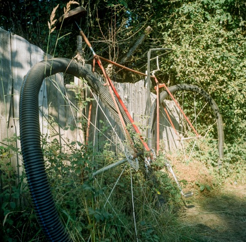 Oregon Country Fair 2014 - A short trip to paradise