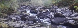 Creek near Carson, WA